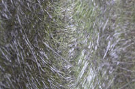 Roanheads fibreglass roof work